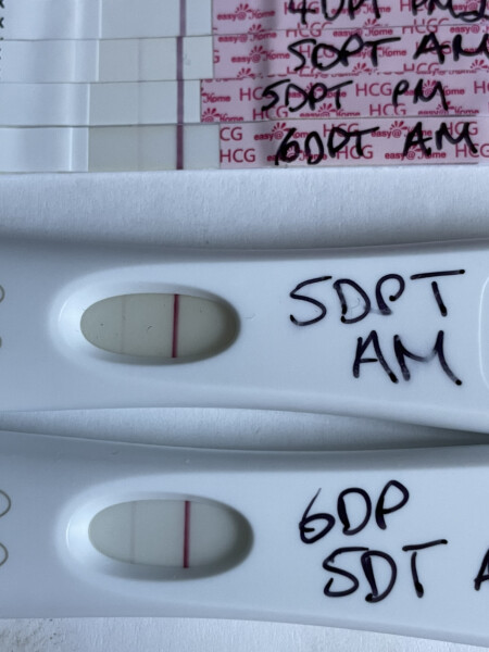 Fertility Appointments and Beyond.... the next chapter