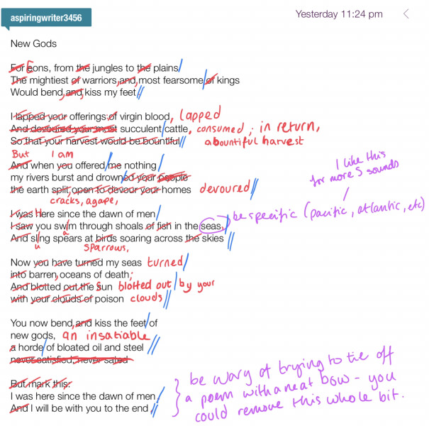 Honest critique of poem