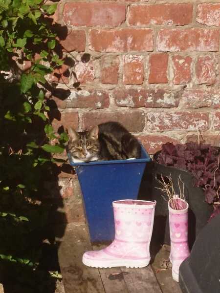 Of all the places to sleep…