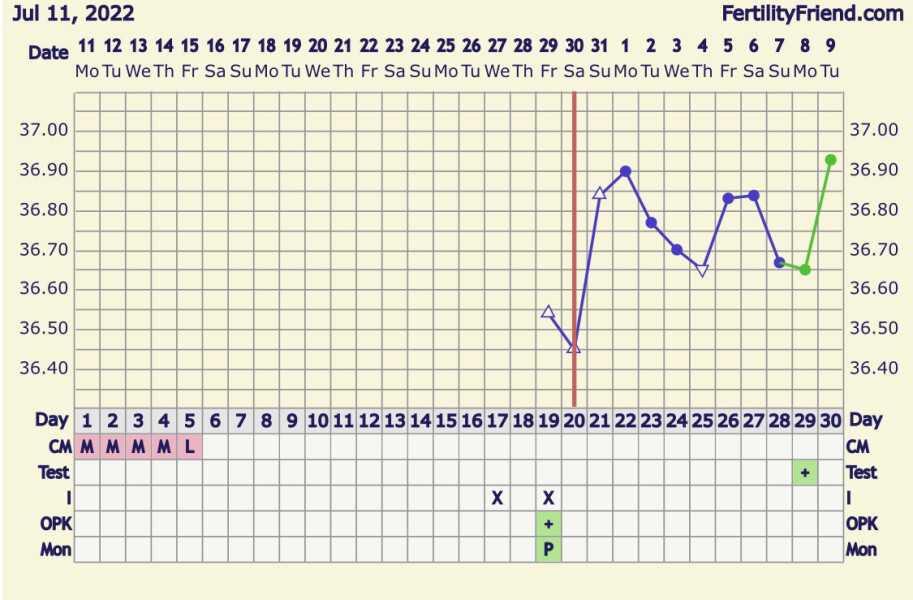 BBT Chart, first month