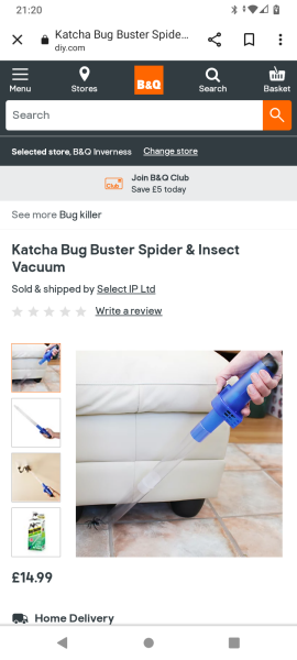 House spiders - how many have you seen this year?