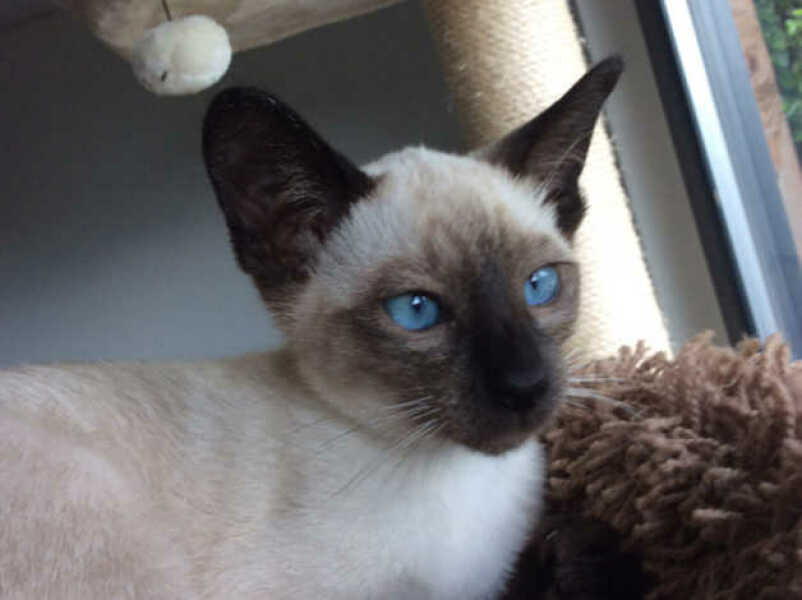 "Most people send nude pictures nowadays"