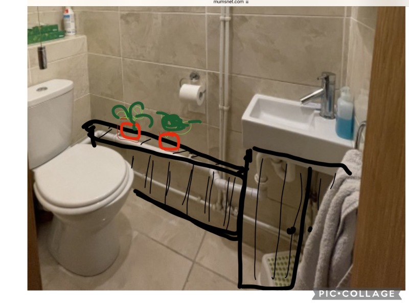 Ugly downstairs loo - any ideas?