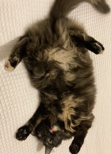 To a life well spent – RIP Cap'n V