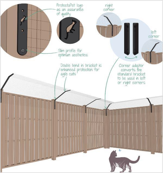 Cat owners - advice please