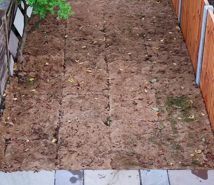 advice on our terrible turf