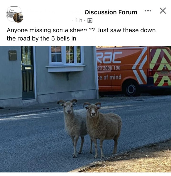 To think Facebook community's groups are pathetic?