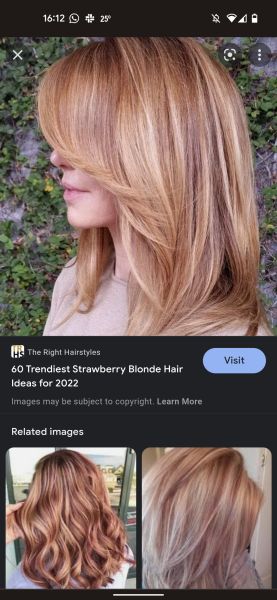 What hair colour would you say this is?