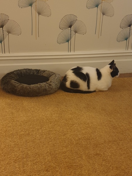 Of all the places to sleep…