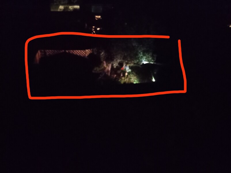 AIBU to expect my neighbour not to have garden lights? 