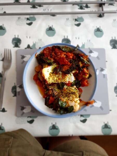 Week 3 - July 22 Low Carb Bootcamp - full-on or Light?