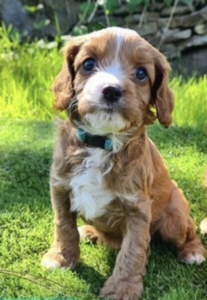 What's my name?