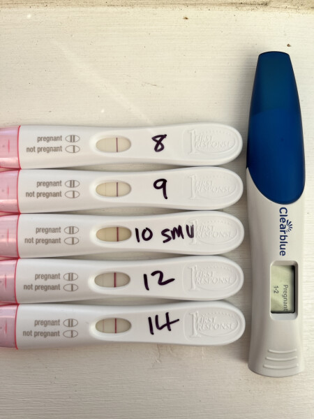 Babies due April 2023