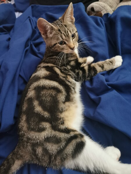 New baby