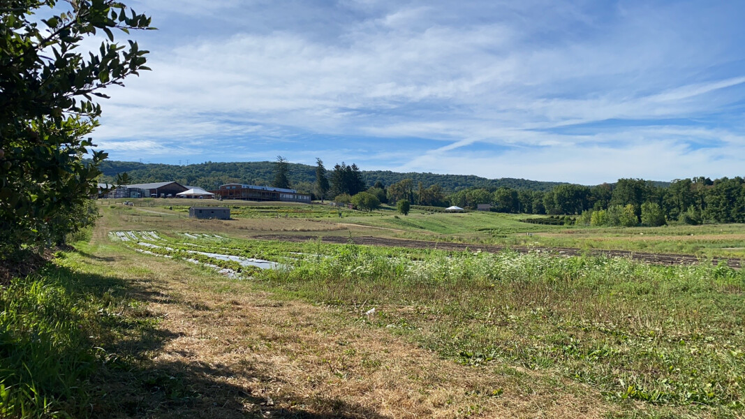 Come and tell me your dull and unexciting news 23: Calmly through the day 