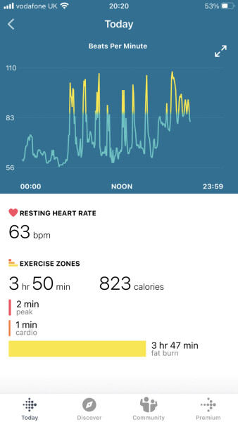 Fitbit users