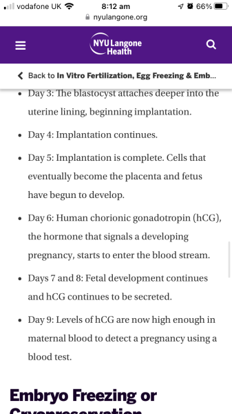 IVF/FET May June 2