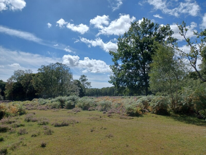 Come chat hiking with me!