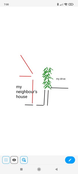 Managing conifers, neighbour issue 