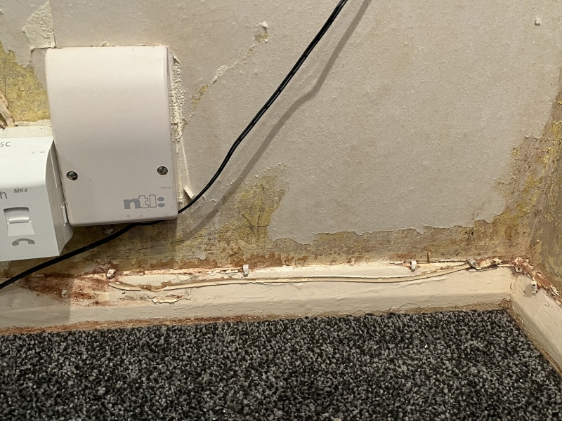 What is this? 