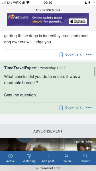 To be offended by a comment my friend made?