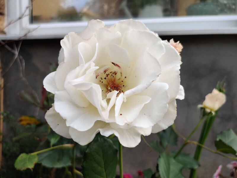 Show Us Your Pictures 6