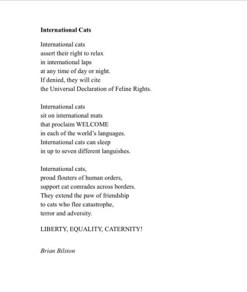 International dogs day today