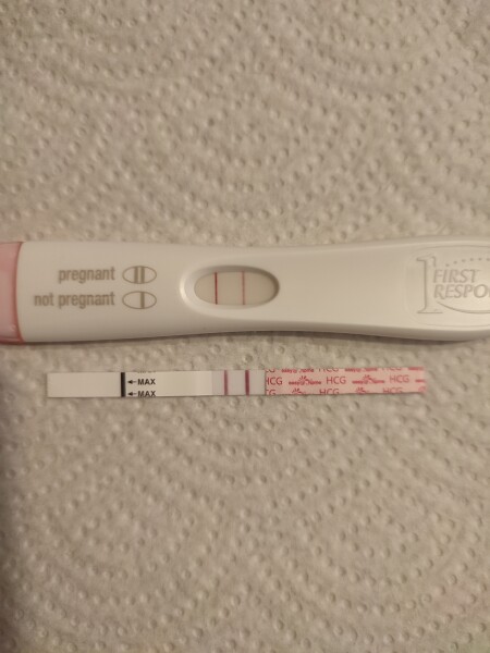 Due Feb/Mar after MC 🌈 🙈
