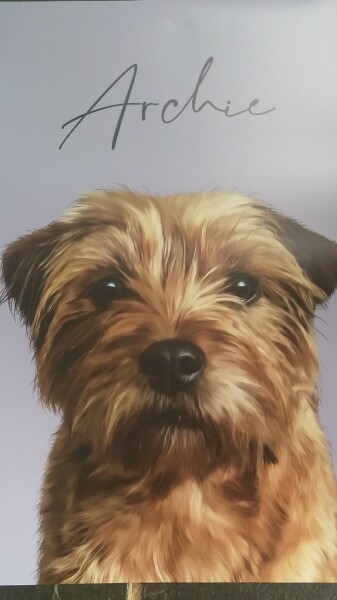 Has anyone lost an adored pet? How did you manage the grief?