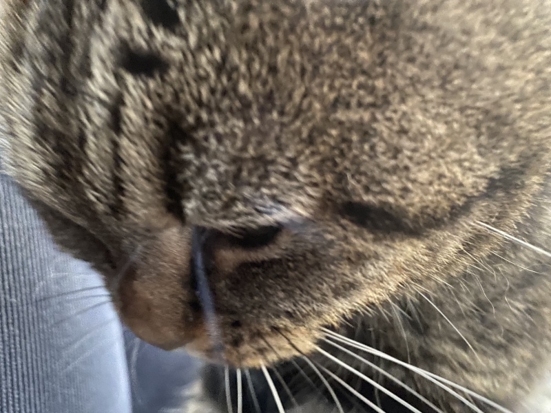 Frugally Forward To Autumn