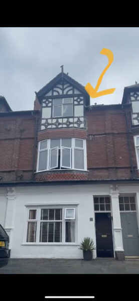 Cat stuck up on roof- help!