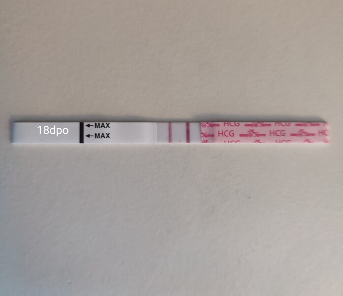 Line progression easy@home tests - no change between 16-18dpo