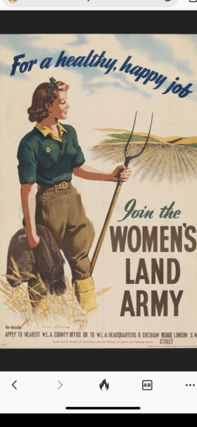 Big update on Rape Crisis legal challenge