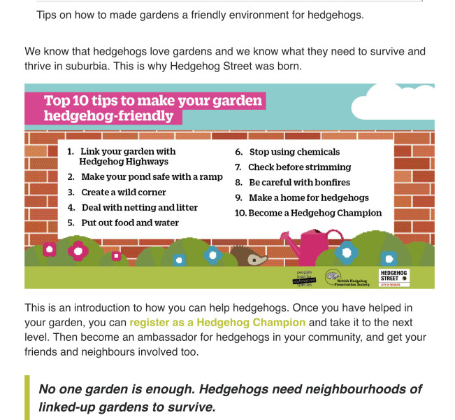 To ask you to please help hedgehogs and other wildlife prepare for winter