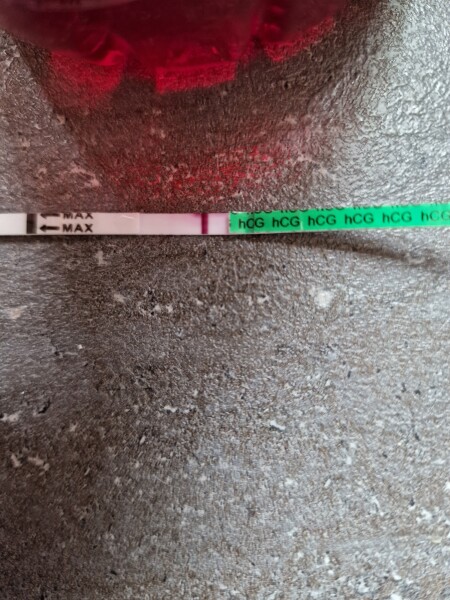 Is this a BFP?
