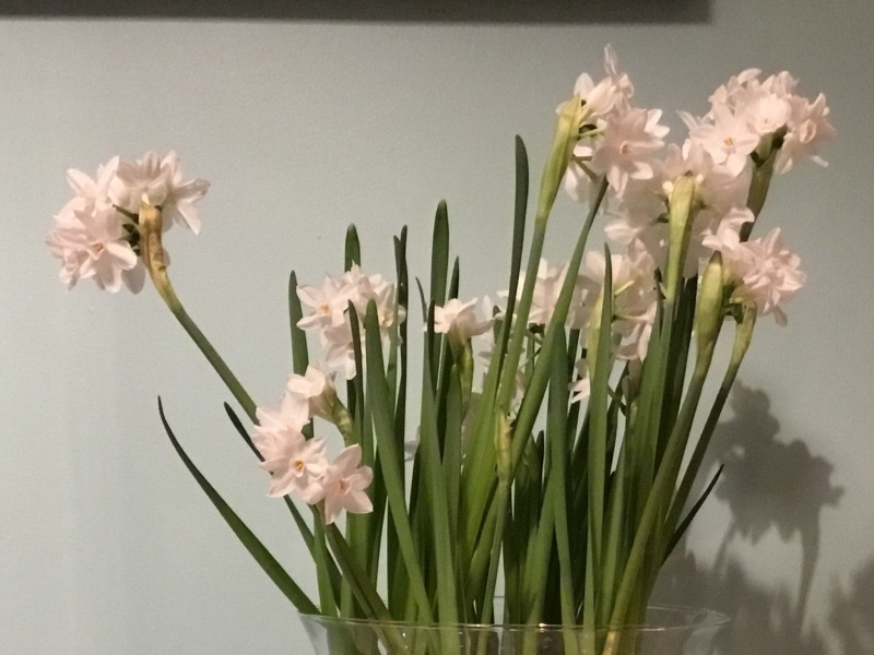 Thread 2 - the one with a bath humbug.