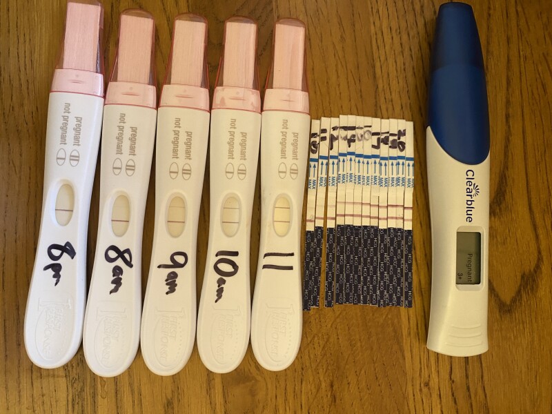 Babies due April 2023