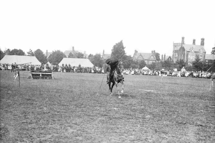 Horses in the Army