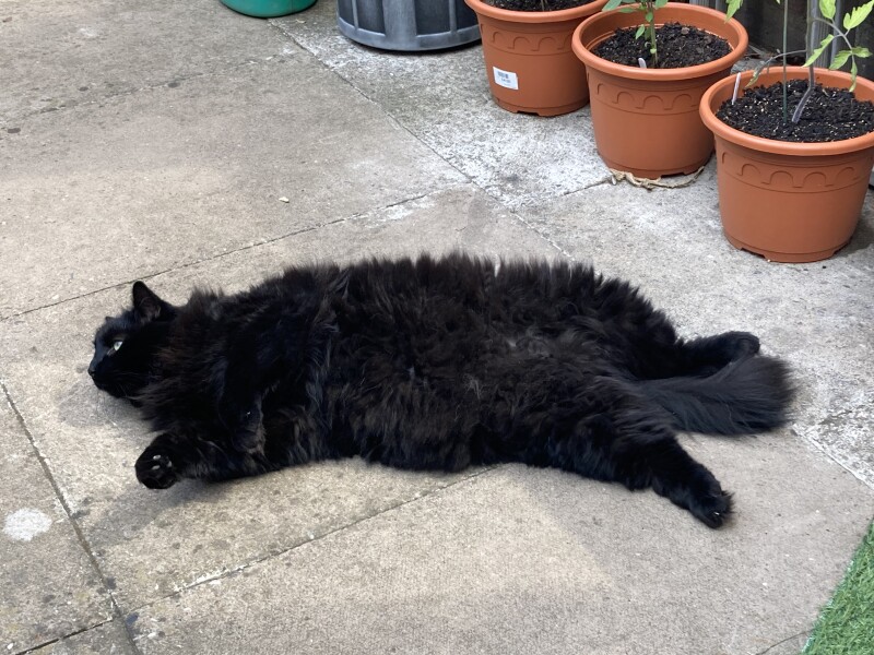 To a life well spent – RIP Cap'n V