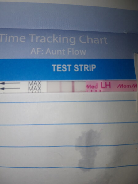 Ovulation test help me understand please 