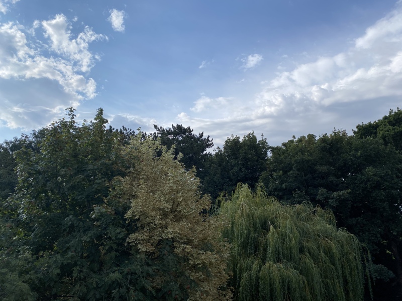 Thunderstorm warnings.