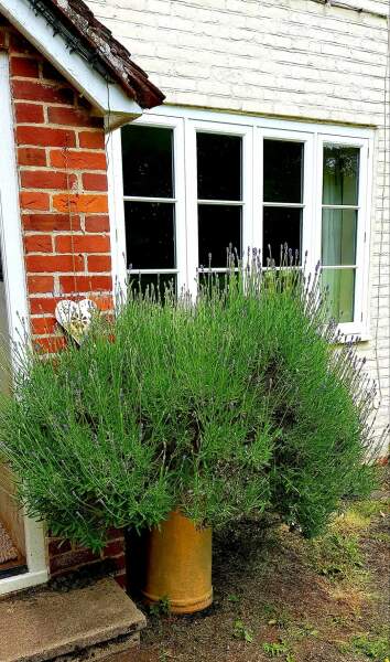What have you got outside your front door?! 