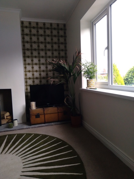 Help with window dressing please!!! 