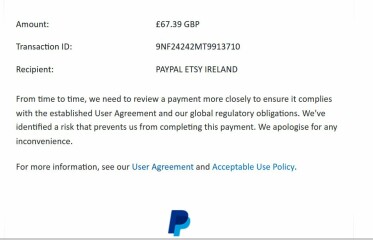 Can you have a quick look at this & tell me if my Paypal has been scammed somehow?