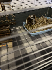 What would you name them?