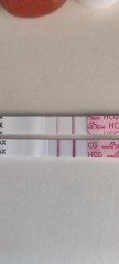 Due Feb/Mar after MC 🌈 🙈