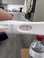 Pregnancy Test