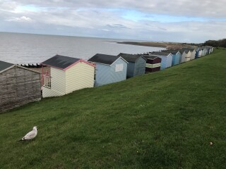 Are there any decent, liveable seaside towns in UK which aren’t silly expensive or horribly rundown?