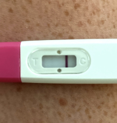 🤞 September BFP 🌈