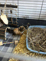 What would you name them?